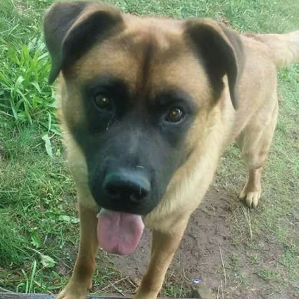 Meet your Posher, Robin